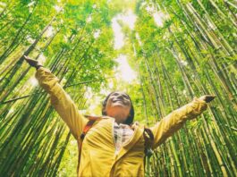 Guardians of Earth 11 Essential Ways to Protect the Natural Environment During Travel