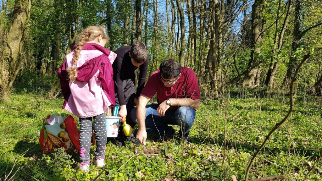 Mastering Nature's Secrets 11 Essential Tips for Organizing a Tree and Plant Identification Walk