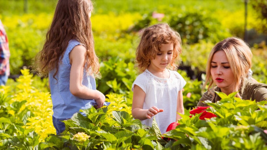 Mastering Nature's Secrets 11 Essential Tips for Organizing a Tree and Plant Identification Walk