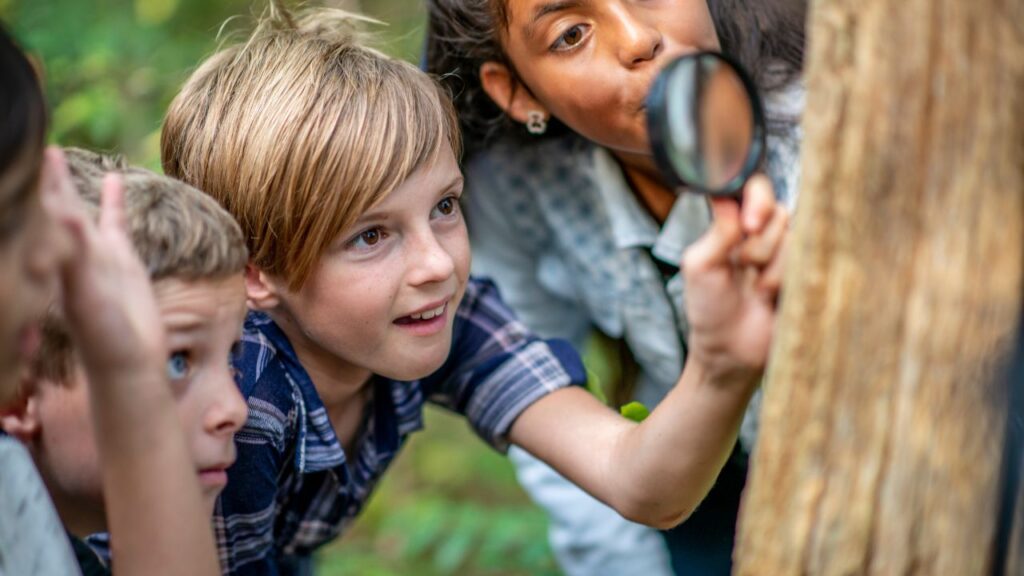 Unlocking Wonder 11 Unforgettable Outdoor Learning Forest School Activities with Nature