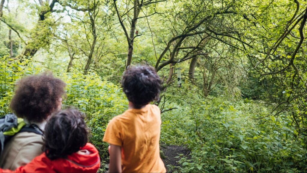 Unlocking Wonder 11 Unforgettable Outdoor Learning Forest School Activities with Nature