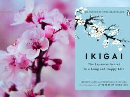 Unveiling the 11 Profound Lessons from Ikigai by Héctor García & Francesc Miralles